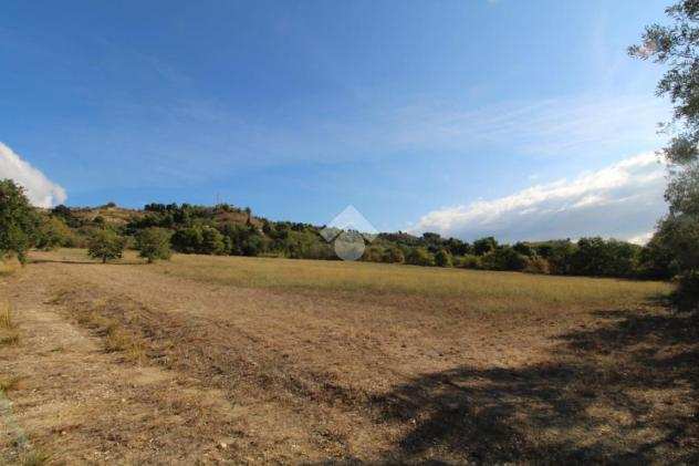 ter. agricolo Col di Tenda, SAN BENEDETTO DEL TRONTO