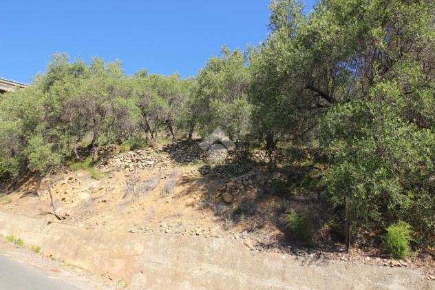 ter. agricolo Strada antica di Badalucco, TAGGIA