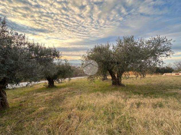 ter. agricolo Strada collebello, CHIETI