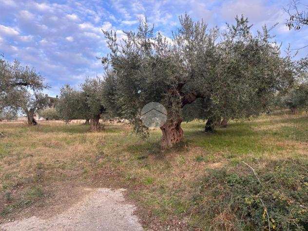 ter. agricolo Strada collebello, CHIETI