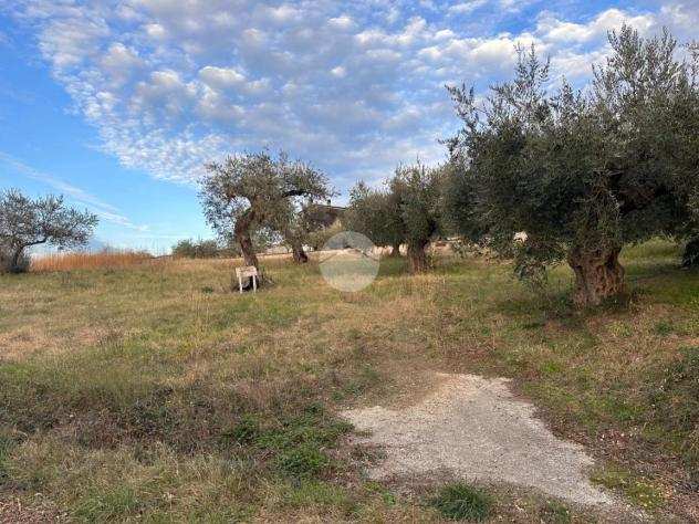 ter. agricolo Strada collebello, CHIETI