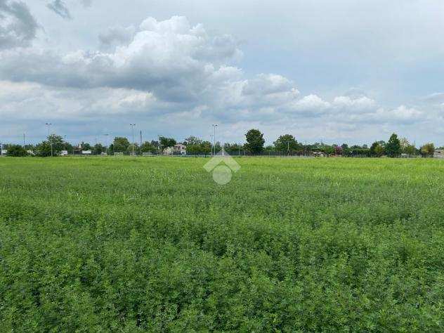 ter. agricolo Via Alfieri, CASTELFRANCO VENETO