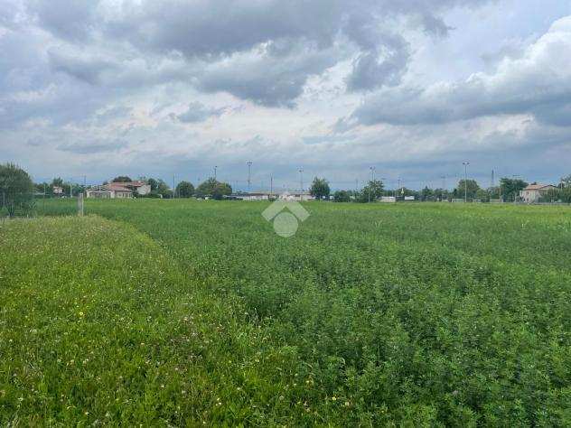 ter. agricolo Via Alfieri, CASTELFRANCO VENETO