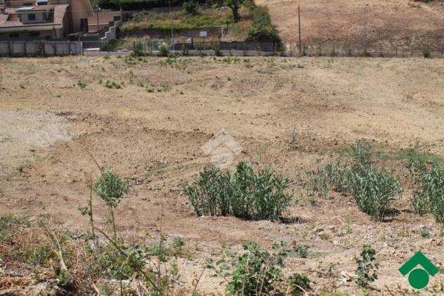 ter. agricolo via arcinazzo, GUIDONIA MONTECELIO