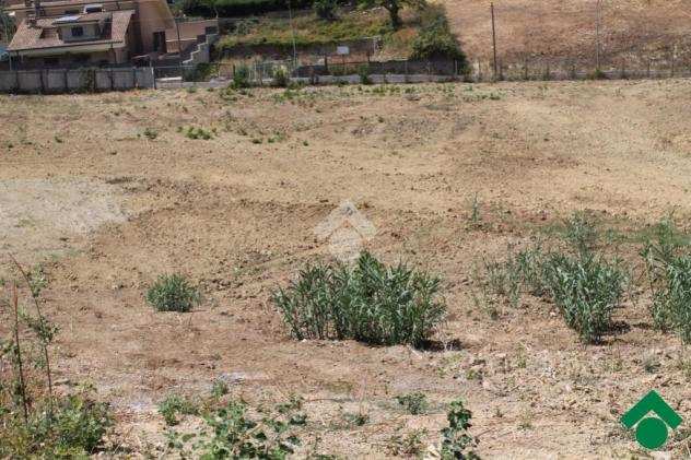 ter. agricolo via arcinazzo, GUIDONIA MONTECELIO