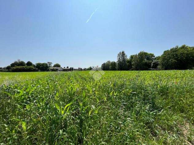 ter. agricolo Via Badoelle, CONSELVE