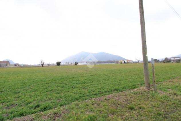 ter. agricolo Via Canaletta, MONSELICE