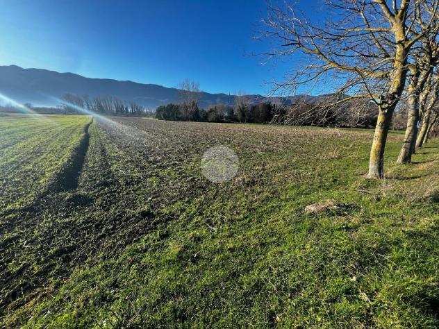 ter. agricolo Via cerretelle, MONTESARCHIO