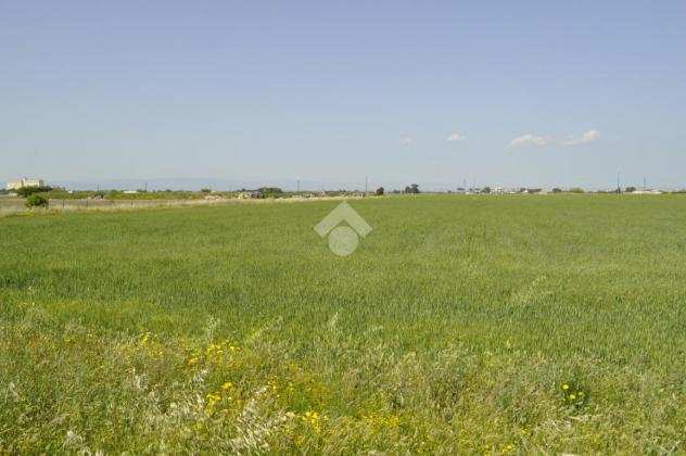 ter. agricolo Via giuseppe parini, FOGGIA