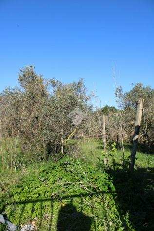 ter. residenziale Contrada Terrenove, MARSALA