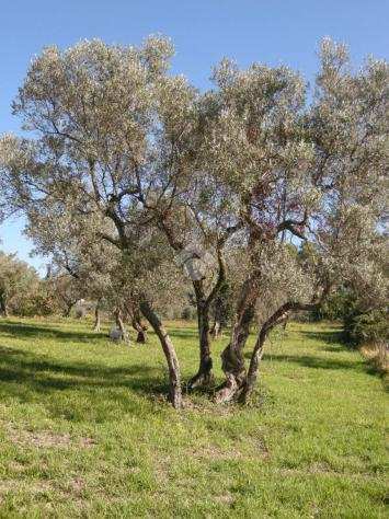 ter. residenziale Vocabolo colle elsa, CALVI DELLUMBRIA