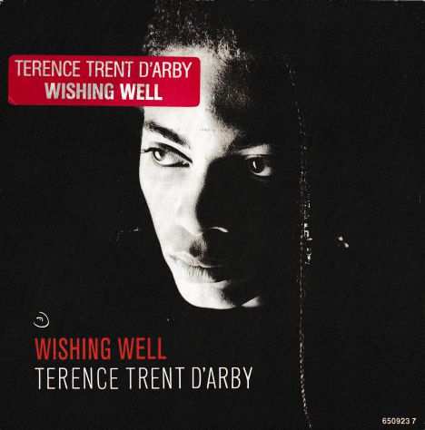 TERENCE TRENT DARBY - Wishing Well - 7  45 giri 1987 CBS