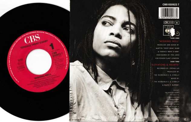 TERENCE TRENT DARBY - Wishing Well - 7  45 giri 1987 CBS