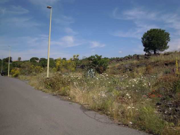 TERRENO 3.000 MQ ZONA C CON PROSPETTO STRADA A BELPASSO (CT)