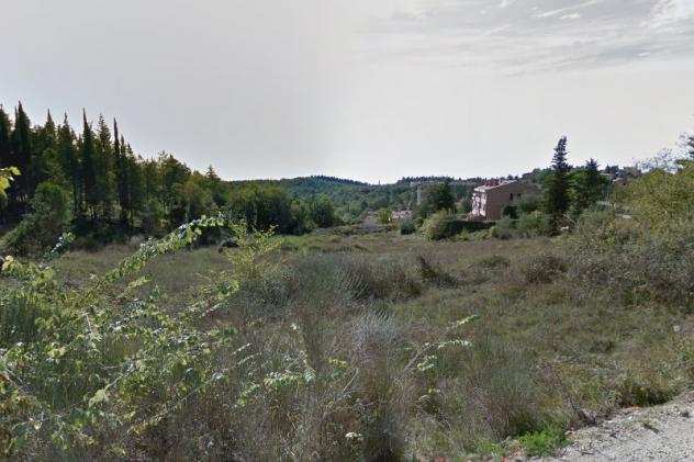 Terreno a Castellina In Chianti - Rif. 3510