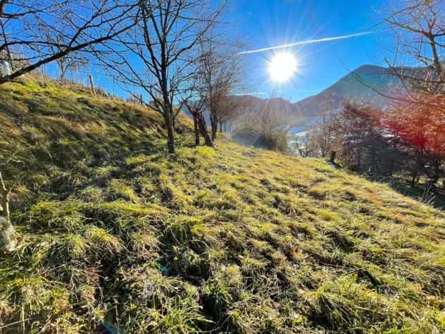 Terreno agricolo