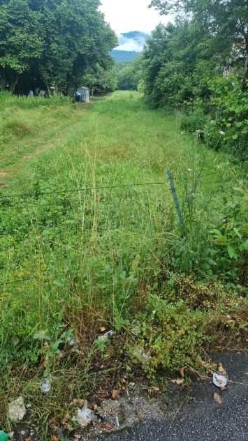 Terreno Agricolo