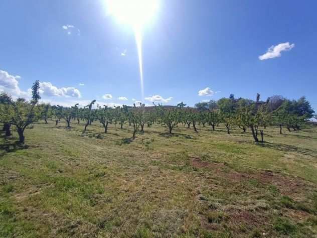 terreno agricolo