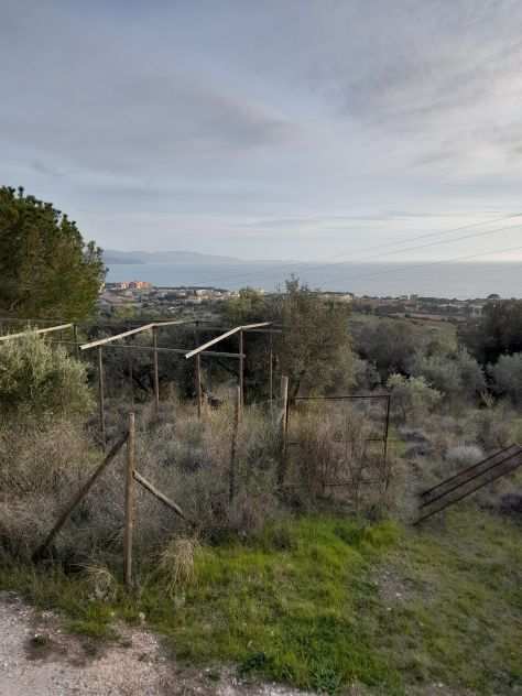 Terreno agricolo