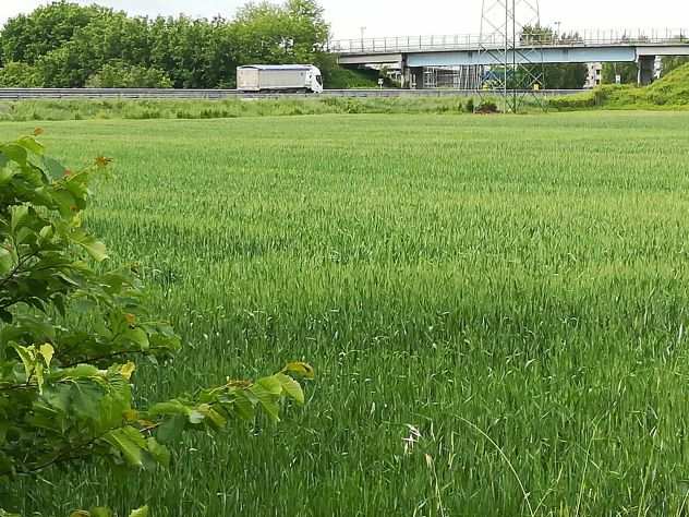 Terreno agricolo a Fornace Zarattini (RA) ha 0,8350 (mq. 8.350)