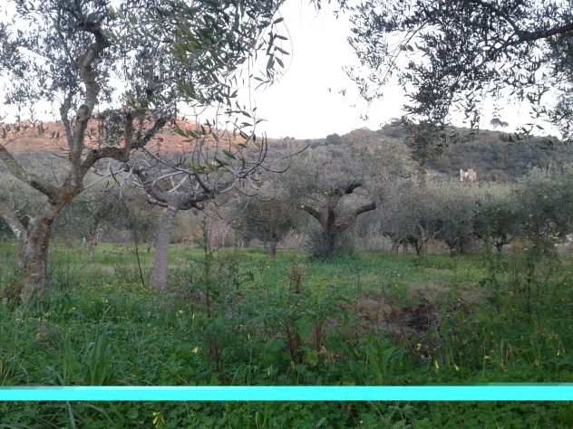 Terreno agricolo a san marco