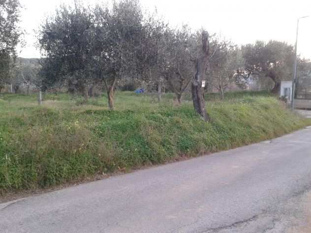 Terreno agricolo a san marco