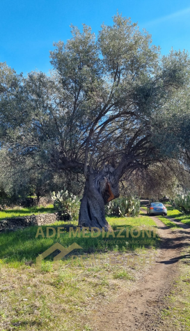 Terreno Agricolo Con Rudere