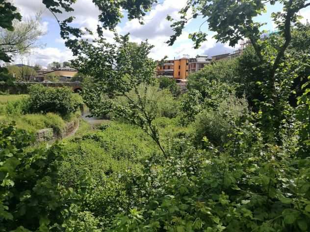 TERRENO AGRICOLO CON RUDERE