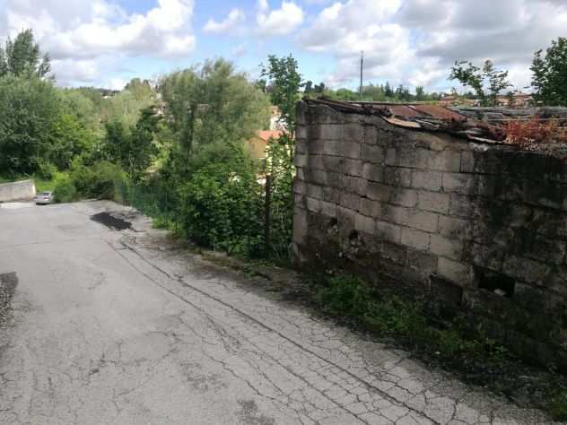 TERRENO AGRICOLO CON RUDERE