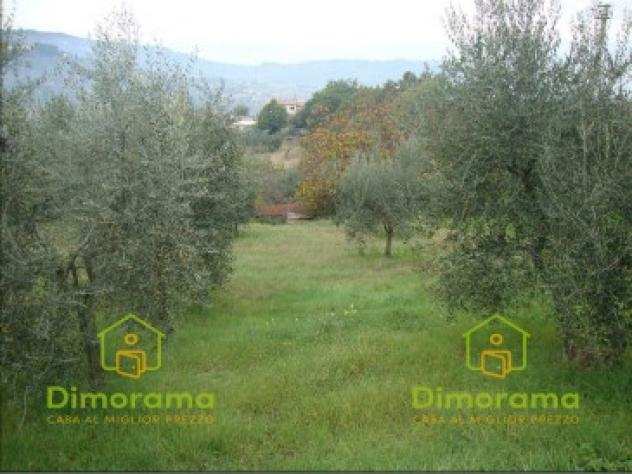 TERRENO AGRICOLO di 39860 mq (CARMIGNANO) rif. PO1489474