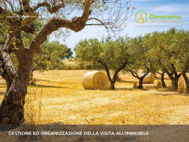 TERRENO AGRICOLO di 4315 mq (CAPANNOLI) rif. PI1382173