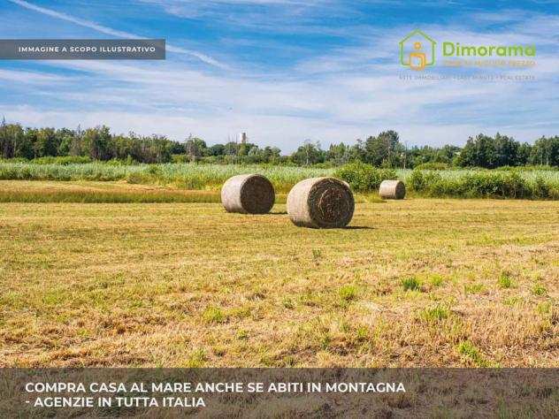 TERRENO AGRICOLO di 5520 mq (MASSAROSA) rif. LU1363269