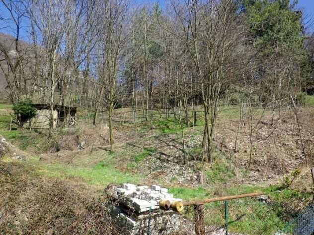 Terreno agricolo di 700 mq con capanno in legno