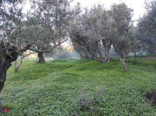 Terreno agricolo di 820mq in Contrada Calamona a Messina