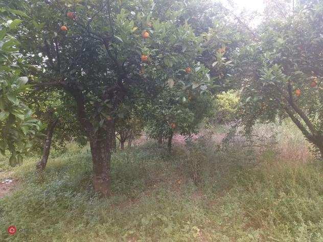 Terreno agricolo di 950mq in Via degli oliveani a Nocera Inferiore