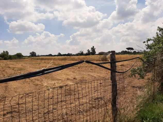 TERRENO Agricolo Giugliano 7.000mq FLG316