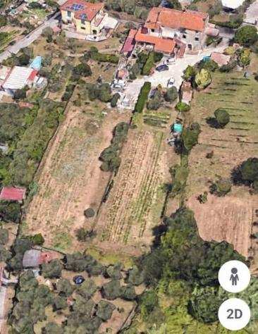 Terreno agricolo in affitto a CASANO - Luni 3000 mq Rif 1157782