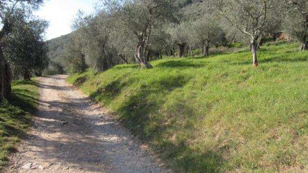 Terreno agricolo in vendita a AGNANO - San Giuliano Terme 1300 mq Rif 1038608