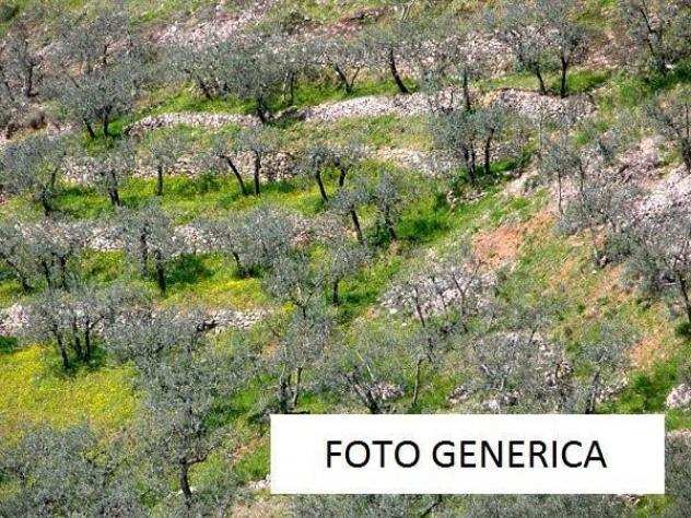 Terreno agricolo in vendita a AGNANO - San Giuliano Terme 700 mq Rif 1142203