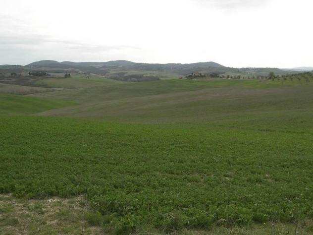 Terreno agricolo in vendita a Asciano 1260000 mq Rif 1164726
