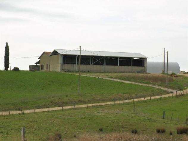 Terreno agricolo in vendita a Asciano 920000 mq Rif 942442