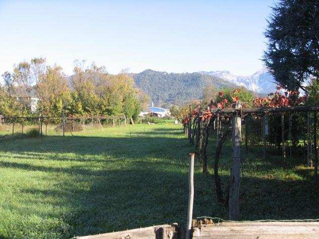 Terreno agricolo in vendita a AVENZA - Carrara 1450 mq Rif 1060873