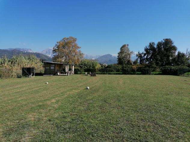 Terreno agricolo in vendita a BATTILANA - Carrara 2000 mq Rif 1073161