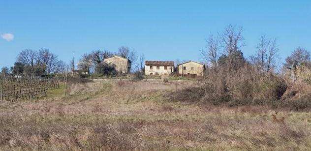 Terreno agricolo in vendita a Bucine 150000 mq Rif 961116