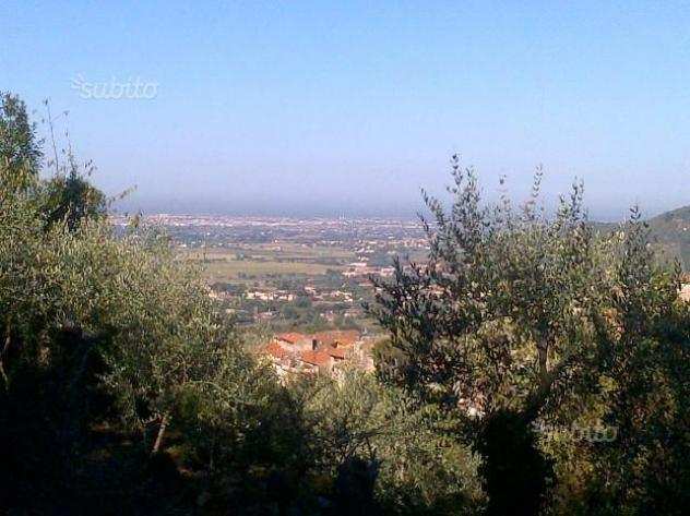 Terreno agricolo in vendita a Calci 10000 mq Rif 1065082