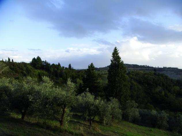 Terreno agricolo in vendita a Calenzano - San Miniato 15950 mq Rif 1231388