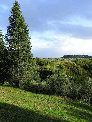 Terreno agricolo in vendita a Calenzano - San Miniato 15950 mq Rif 1231388