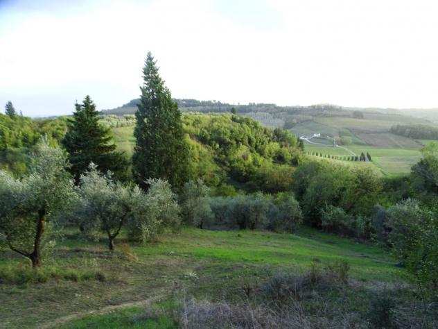 Terreno agricolo in vendita a Calenzano - San Miniato 48250 mq Rif 1231392