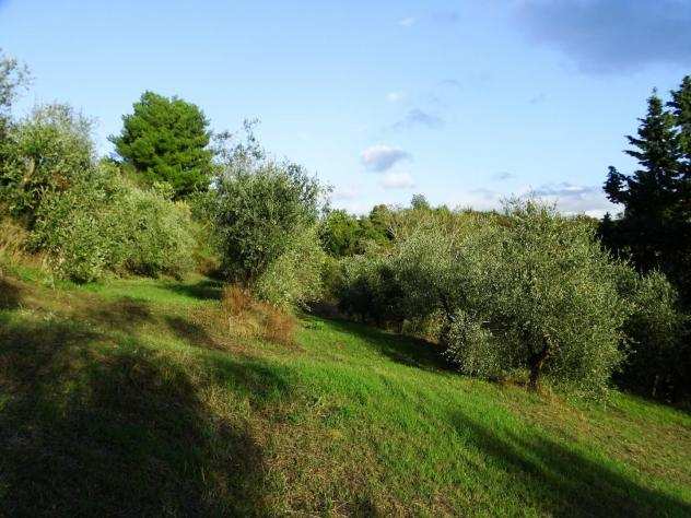 Terreno agricolo in vendita a Calenzano - San Miniato 48250 mq Rif 1231392