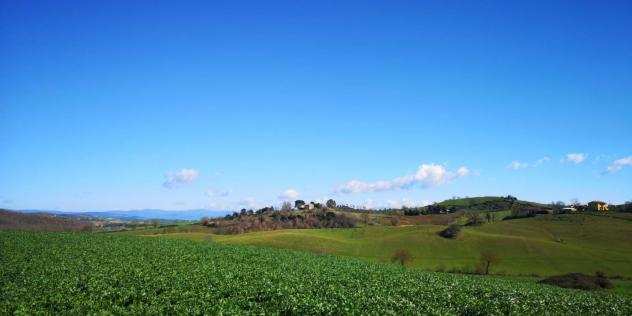 Terreno agricolo in vendita a Capalbio 500000 mq Rif 1104323